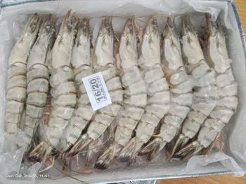 Premium Frozen Black Tiger Shrimp, Giant Freshwater Prawn & Seafood – HACCP, GMP, ISO Certified - Unique Ice And Foods Ltd - Bangladesh